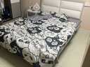雅鹿ins风被套1.5x2米被单单件学生宿舍单人被罩磨毛被子套单套四件套 鲸鱼 150*200cm【被套单件】 实拍图