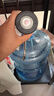 拜杰桶装水抽水器电动压水器上水器抽水神器自动饮水机抽水泵取水器 实拍图