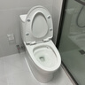 九牧（JOMOO）11173-2-1/31KD-3大力神家用马桶虹吸抗菌节水洁具305坑距 实拍图