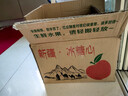 同甘园 正宗天然冰糖心苹果富士 脆甜新鲜山西时令应季丑苹果 节日送礼 净4.5斤单果130-150g精选好果 实拍图