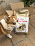 皇家狗粮 柯基成犬狗粮 犬粮 宠物中型犬 12月以上 全价粮CGA25 3KG 实拍图