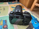 尼康（Nikon）【价保11.11】D7500 单反相机 单机身（约2,088万有效像素 51点自动对焦系统） 实拍图