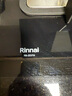 林内（Rinnai）燃气灶【家电国家补贴20%】5kW大火力双眼猛火灶具家用嵌入式钢化玻璃天然气一级能效 2E07M 实拍图