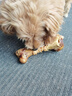 疯狂小狗宠物狗狗零食磨牙牛骨头泰迪比熊小型犬洁齿耐啃鸡肉绕牛棒骨 90g 实拍图