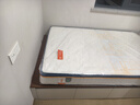 喜临门乳胶椰棕床垫 独袋弹簧抗菌防螨床垫 梦蝶旗舰版1.2x2米 软硬适中 实拍图