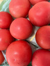 【超市精选】山东沙瓤水果西红柿新鲜番茄蔬菜减肥单果100g起 西红柿中大果 1斤 净重 实拍图