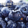 鲜级佳辽宁丹东蓝莓王【多地次日达】新鲜孕妇L25花香蓝莓礼盒怡颗蓝莓 6盒【100g/盒】高复购率-超划算 人工挑选 精品大果【单果14-16mm+】 实拍图