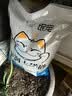 美人喵小安心猫粮幼猫1到3月奶糕专用离乳期4到12月全价小猫奶猫幼猫粮 【1-12月】冻干3拼幼猫粮8斤 实拍图