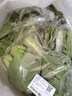 【24小时菜】大芹菜约400g 实拍图