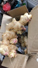 广东本地大肉姜猪脚姜新鲜嫩姜高明无渣猪脚姜泡姜无渣 猪脚姜1斤（尝鲜） 实拍图