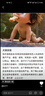 bebebus 金标茶树精华成长裤2XL20片(≥15kg)透气超薄拉拉学步裤男女宝 实拍图