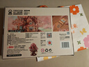 若来（Rolife）樱花树屋diy手工模型拼装积木玩具儿童生日新年礼物 实拍图