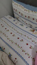 无印良品100%纯棉床上四件套 1.5/1.8米床笠被套200*230cm 实拍图