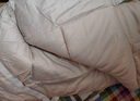京东京造新疆棉A类学生宿舍床褥床垫 经典里外全棉上下铺可用 0.9x2m 实拍图