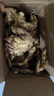农多鲜 云南小黄姜 新鲜蔬菜现挖现发调味料火锅食材 产地直供 净重小黄姜5斤 云南小黄姜 实拍图