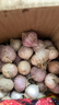 志褚独头蒜大蒜头 2024云南大理紫皮独蒜 精品新鲜现挖湿蒜 2斤装【中果2.5-3.0cm】 实拍图