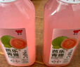 味全芭乐青提稀释果汁饮料含NFC芭乐汁900ml*2瓶清爽解腻 夏天聚会 实拍图