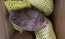 生鲜密语广西荔浦芋头 地标农产品 正宗荔浦芋 新鲜香芋 火锅食材生鲜蔬菜 3-5个2.5kg 净重4.9斤 1份装（芋香浓郁） 实拍图