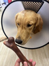 亚禾大号磨牙棒狗零食中大型犬金毛边牧恶霸犬洁齿耐咬骨棒100g*10支 实拍图