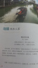 图说天下·国家地理系列：跟着诗词去旅行【11-14岁】暑假作业 一升二暑假衔接 小升初暑假衔接 实拍图