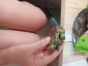夕世珍宝网红棉花糖巧克力迪拜风味云朵开心果牛奶夹心酥脆黑巧休闲零食品 开心果味37g*1包 实拍图