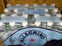 圣培露（S.Pellegrino）意大利含气天然矿泉水气泡水 饮用水 500ml*24瓶 实拍图