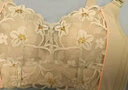 浪莎内衣女小胸聚拢文胸显大无钢圈收副乳调整型上托胸罩 香槟色36AB 实拍图