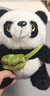 熊猫熊小熊猫玩偶儿童毛绒玩具娃娃花花大公仔生日礼物陪睡布娃娃抱抱熊 实拍图