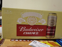 百威（Budweiser）淡色拉格啤酒 500ml*18听整箱装 经典纯生 实拍图
