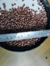 贡苑黑苦荞茶1200克四川大凉山全颗粒胚芽荞麦茶降三泡水喝的高养生茶 实拍图