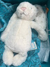 Jellycat害羞乳白色邦尼兔动物毛绒玩偶安抚玩偶娃娃圣诞节生日礼物 害羞乳白色邦尼兔 Large 实拍图