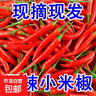新鲜小米辣小米辣椒小米椒蔬菜小米辣鲜椒新鲜辣椒特辣巨辣红辣椒 巨辣（带箱4斤）商超品质 实拍图