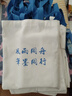 雅帆 帆布包袋定制定做购物袋LOGO棉布手提袋广告袋会议袋空白袋 帆布袋100个起定制（加急） 其他 实拍图