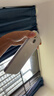 第一卫 DIVI【全网热销TOP丨发黄包赔】适用苹果14手机壳iphone14保护套镜头全包硅胶透明超薄气囊防摔软壳 实拍图