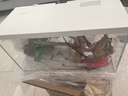 喜高超白玻璃鱼缸智能鱼缸免换水小型客厅水族箱一体式过滤氧气鱼缸 白-鱼缸+造景 485*225*283mm 实拍图