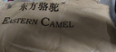 东方骆驼（EASTERN CAMEL）棉服夹克男士秋冬加绒加厚保暖棉袄户外工装冲锋外套羽绒棉防风衣 实拍图