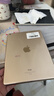 【二手95新】Apple ipad二手苹果平板电脑 迷你mini二手平版电脑国行  17款 128G【影音娱乐】 实拍图