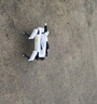 科学怪兽机器狗儿童玩具男孩智能ai编程人生日礼物遥控汽车6-8-12岁 实拍图