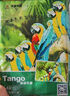 天章 （TANGO）新绿天章 5R/7寸相纸 230g 高光相片纸 照相纸 7寸喷墨照片打印纸 100张/包 实拍图