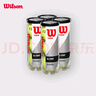Wilson威尔胜TITANIUM 训练网球罐装 3只装 实拍图