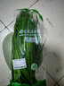 绿色韭菜250g 实拍图