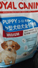 皇家狗粮 幼犬狗粮 幼犬奶糕 宠物中型犬MEJ32全价犬粮2-12月15KG 实拍图