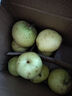 京喜加赵县雪花梨河北正宗雪花梨【适合煲汤】 单果170g+ 带箱9-10斤（净重8.2斤） 实拍图