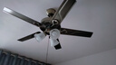TCL 吊扇灯餐厅风扇吊灯52寸大风力客厅欧式带电风扇的家用风扇灯 铁叶42寸吊杆-变频6档-遥控 实拍图