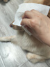 KONOKO宠物湿巾猫咪擦眼去泪痕除臭味狗狗用品全身免洗清洁专用湿纸巾 实拍图