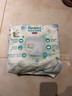 帮宝适[会员专享试用装]一级帮拉拉裤尿不湿尿片 超薄透气XL4 实拍图