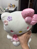 Hello Kitty三丽鸥KT猫毛绒玩偶抱枕玩具女孩娃娃圣诞节礼物 实拍图