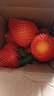 【热卖双色橙】正宗秭归脐橙中华红橙新鲜采摘 红黄双拼带箱2斤 实拍图