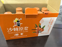 吕梁野山坡沙棘原浆原液 100%沙棘汁 果汁饮料50ml*10瓶 （包装随机） 实拍图