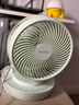 amadana空气循环扇家用非静音电风扇摇头台式电扇涡轮对流大风力台扇办公室宿舍桌面小风扇 FC013DR薄荷绿 实拍图